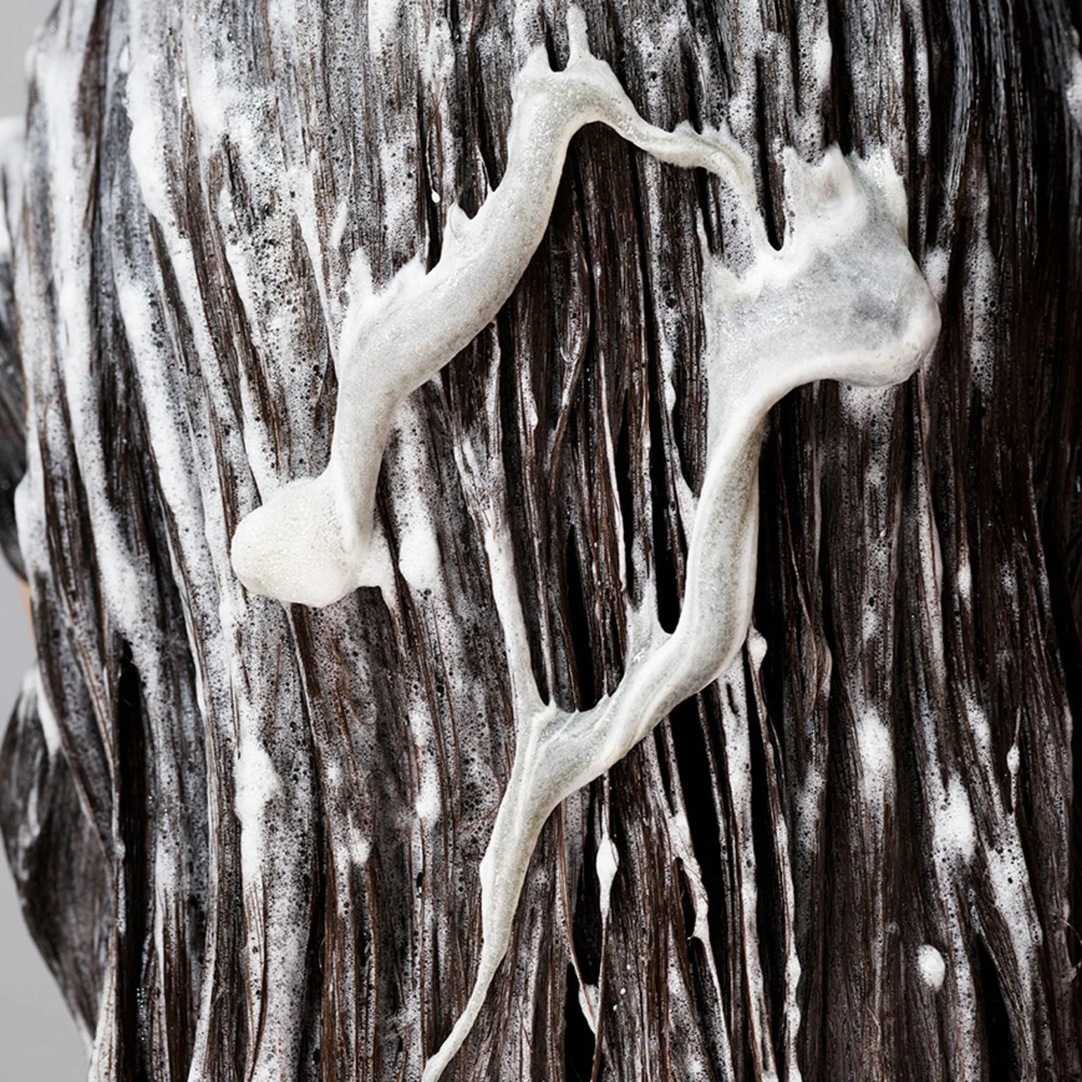 Oribe The Cleanse Clarifying Shampoo