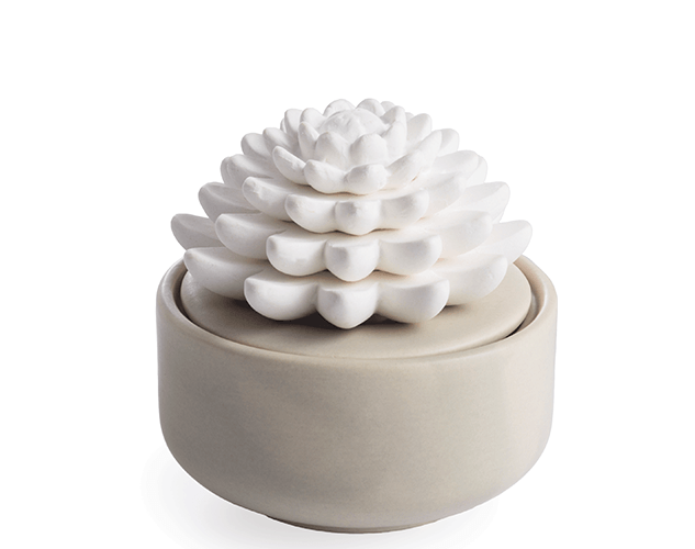 Succulent Porcelain Diffuser