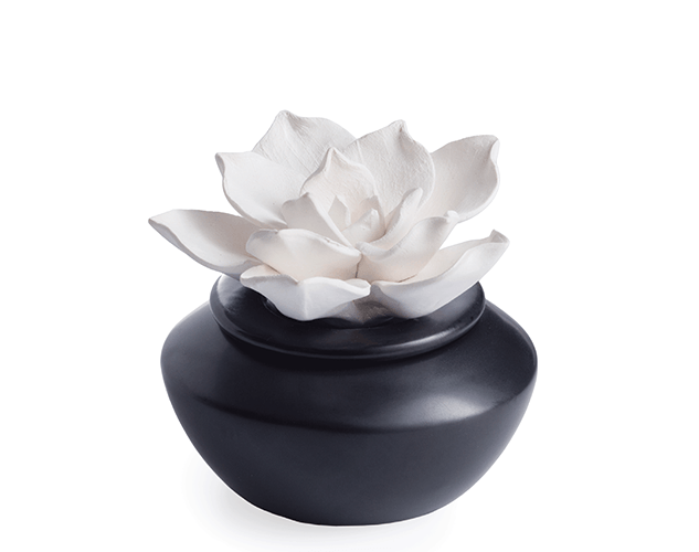 Gardenia Porcelain Diffuser