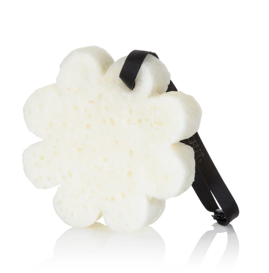 Spongelle - French Lavender | Boxed Flower