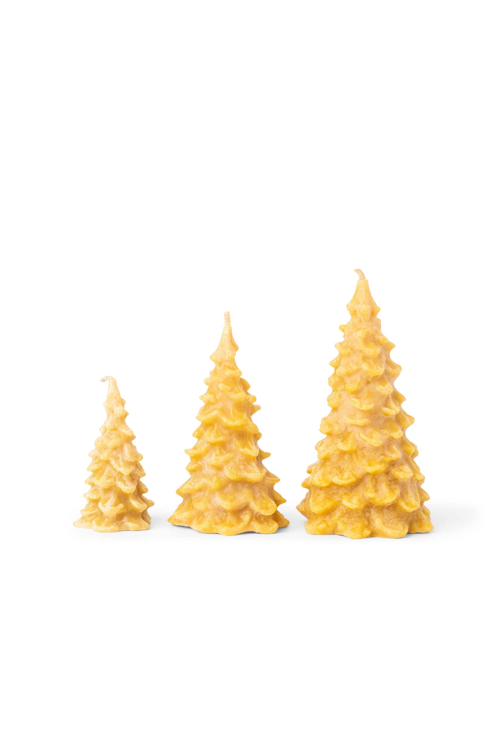 All-Natural Beeswax Evergreen Tree Candles: Medium 4.75"